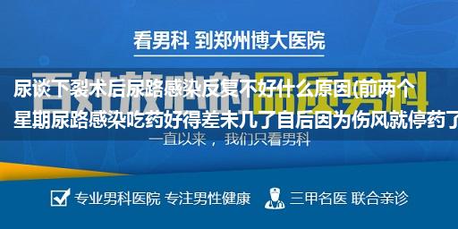 尿谈下裂术后尿路感染反复不好什么原因(前两个星期尿路感染吃药好得差未几了自后因为伤风就停药了刻下好像...)